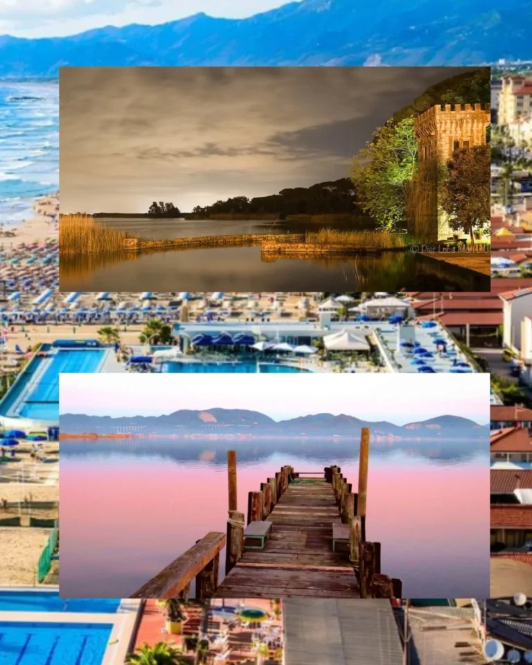 Instagram post from meetingviareggio. This post is in position 6.